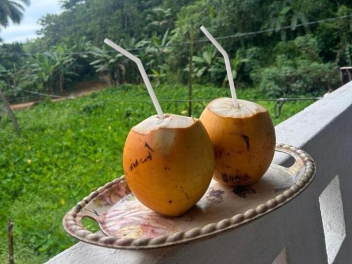 Sandaru Holiday Resort Weligama Exterior foto